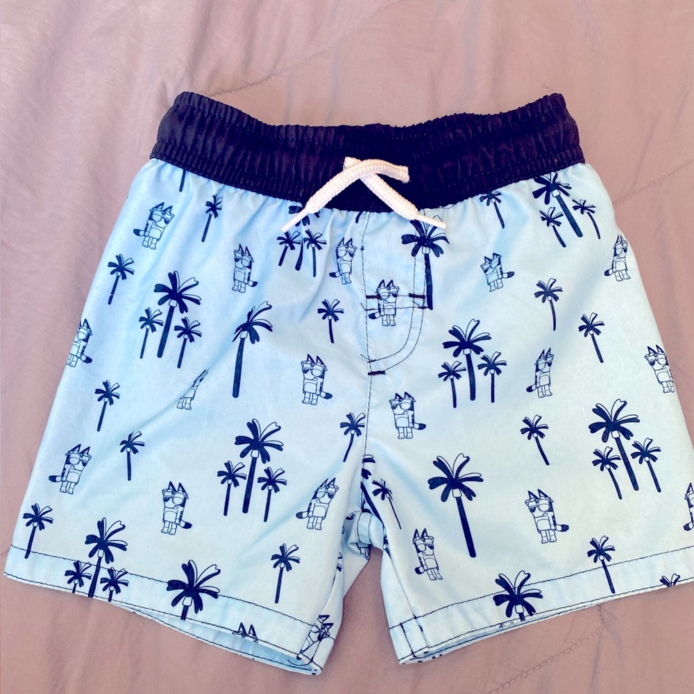 2T bluey swim shorts